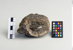 Foto von Biotit (NHMW-MIN-Ad950)